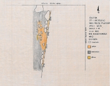 Słupsk - Grodzisko. Wschodni profil paleniska. Stanowisko 1, wyk. II, Ar 83