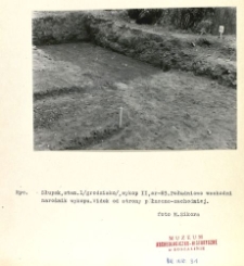 Dokumentacja fotograficzna z badań archeologicznych w Słupsku. Stanowisko 1
