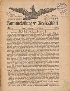 Rummelsburger Kreisblatt 1873