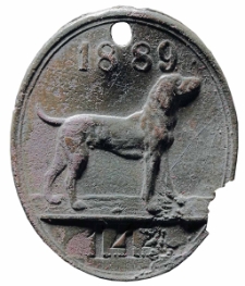 Psi numerek miasta Słupska (?) z 1889 roku, nr 144