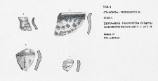 Człuch&oacute;w - Przedzamcze III. Stanowisko 1. Zestawienie fragment&oacute;w ceramiki wczesnośredniowiecznej z wyk. IV