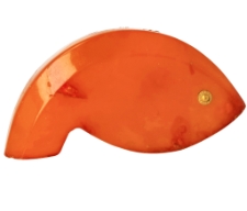 Bursztynowa ryba