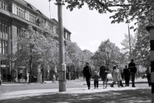 Dom Towarowy Złota Kamienica