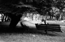 Aleja Sienkiewicza - Park