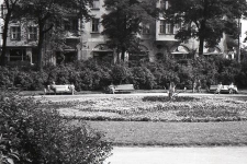 Skwer przy ulicy Starzyńskiego