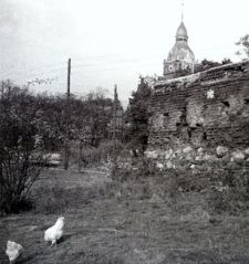 Ulica Francesco Nullo