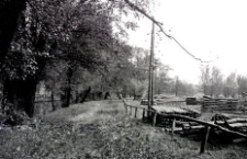 Timber storage in the park