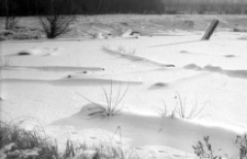 Park Trendla przy ulicy Arciszewskiego