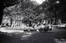 Skwer w Alei Henryka Sienkiewicza