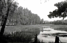 Ponds on Birch Avenue