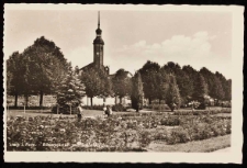 Rose garden in Stolp