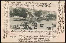 Pławienie koni w rzece, panorama lewobrzeżnego Stolpu