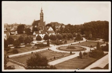 Rose garden in Stolp
