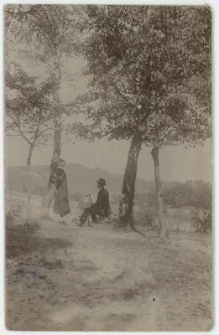 Poczt&oacute;wka fotograficzna, para wśr&oacute;d drzew