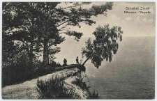 Poczt&oacute;wka, Ostseebad Zoppot. Adlershorst &ndash; Uferpartie