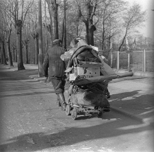 Koszalinska Street in Miastko