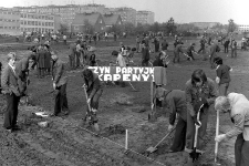 Social activity of Kapena employees