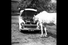 Dzień z życia pomorskiej wsi