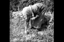 Prayer at work in the countryside