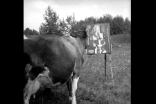 XI Og&oacute;lnopolski Plener Młodych Miastko '78