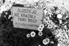 Rzeczywistość lat dziwięćdziesiątych