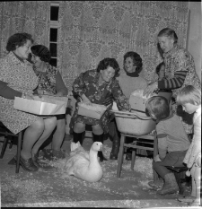 To pluck feathers by hand