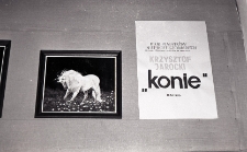 Wystawa "Konie"