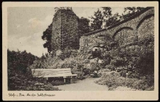 Mury miejskie i ogr&oacute;d zamkowy w Stolpie