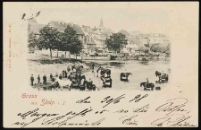 Pławienie koni w rzece, panorama lewobrzeżnego Stolpu