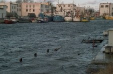 Pow&oacute;dź w porcie oraz statek B 295