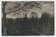 Black and white postcard "Baltic seaside resort Sopot. Villa of the Crown Prince", uncirculated