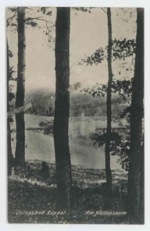 Poczt&oacute;wka czarno-biała &bdquo;Ostseebad Zoppot. Am Waldeszaum"