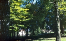 Park przy Alei Henryka Sienkiewicza w Słupsku