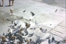 Stary Rynek w Słupsku