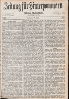 Zeitung für Hinterpommern (Stolper Wochenblatt) Nr. 13/1877